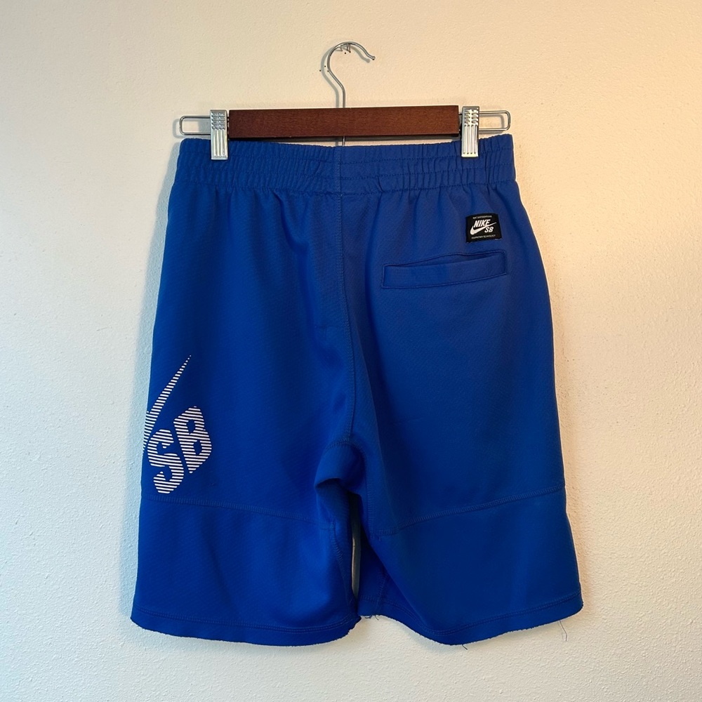 EUC Blue Nike SB Men’s Shorts XS